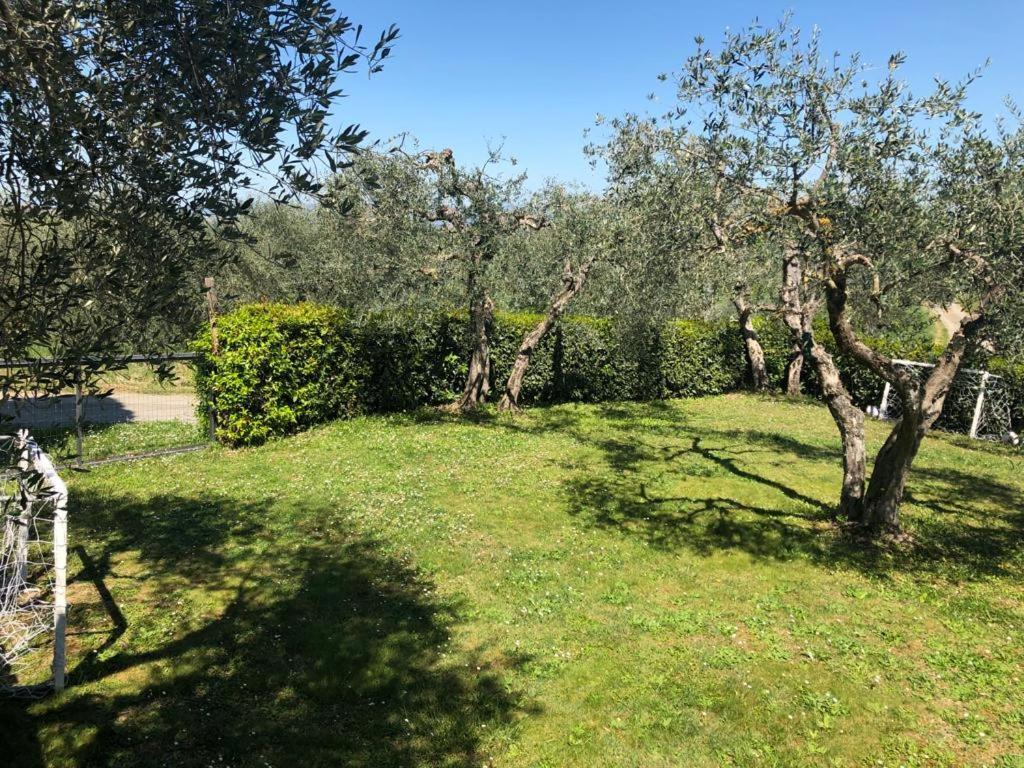 Podere Zelmira Sinalunga Exterior foto